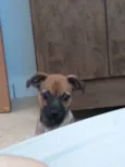 Fiona