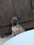 Fiona