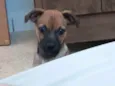 Fiona