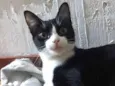 Margo