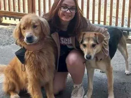 Cachorro ra a Golden retriver, vira-lata idade 5 anos nome Fred e Chico