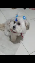 Charlott 