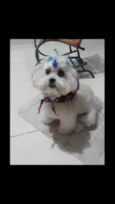 Charlott 