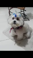 Charlott 