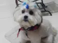 Charlott 