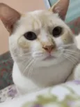 John John