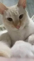 John