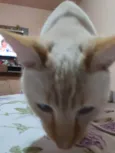 John