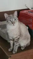 Ravi