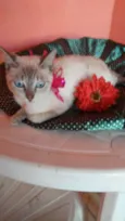 Princesa