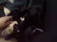Slinky