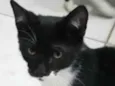 Fred