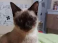 Manu