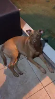 Eva