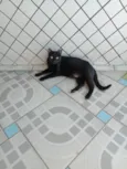 Neguinho
