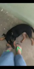 Sofi