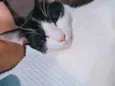 Eduardo