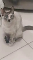 Penny 