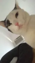 Mimi