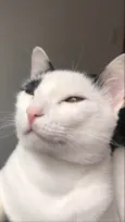 Mimi