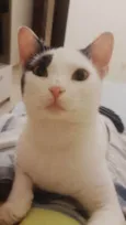 Mimi