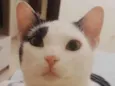 Mimi