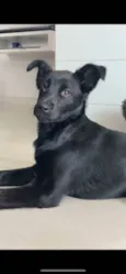Zoe