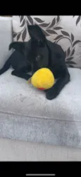Zoe