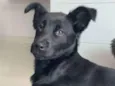 Zoe