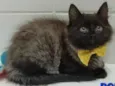 BOB