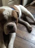 Beni