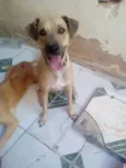 Lili