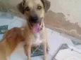 Lili