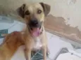 Lili