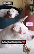 Romeu e Juli