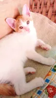 Branquinho e Kiara
