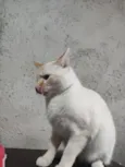 John