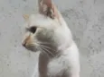 John