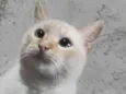 John