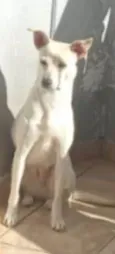 Pequena