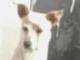 Pequena