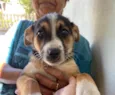 Francisco