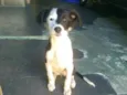 Princesa 