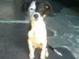 Princesa 