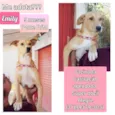 Emily