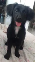 MEG