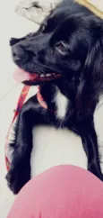 MEG