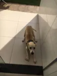 BOLT