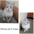 Sem Nome