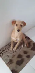 Sem